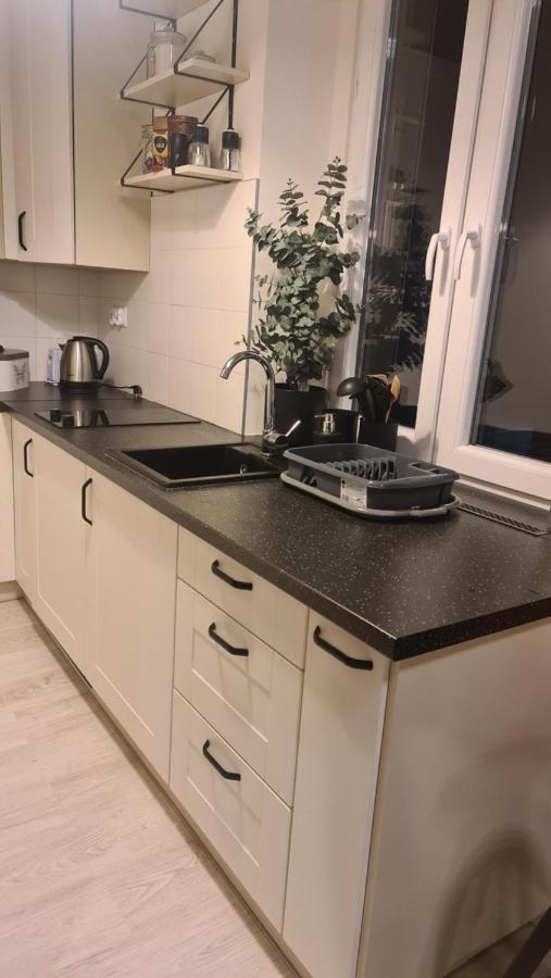 Apartment Kameralny